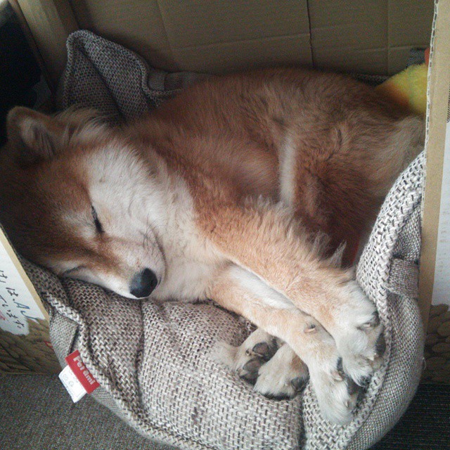 意甲逆转中，球员深度谈战术调整的战场心理和操作细节，意甲进攻型球队