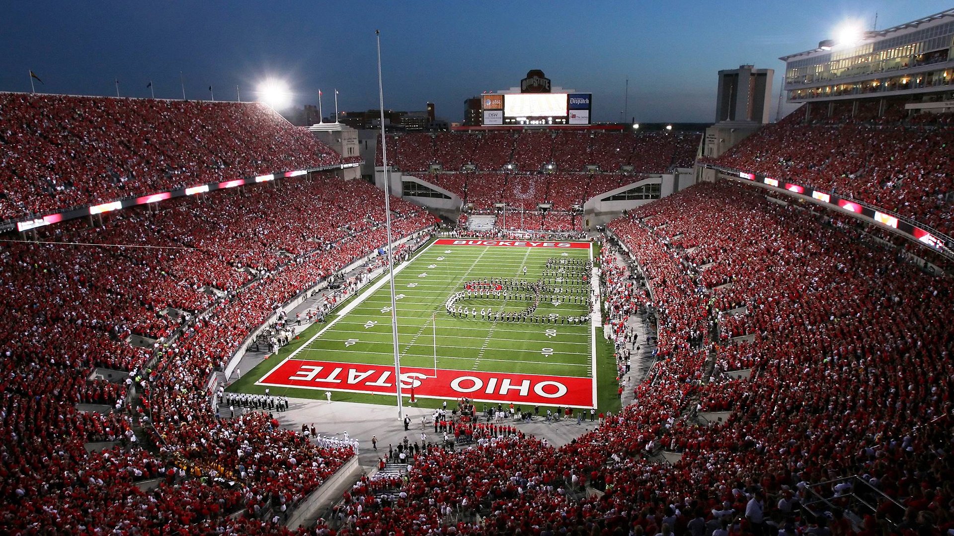 蝶泳赛道 阿莱克西强势出击